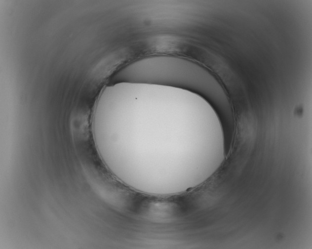 X0000112540360200909071427