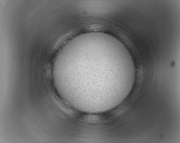 X0000112540361200909071427