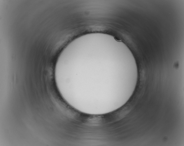 X0000112540362200909071427
