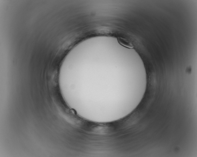 X0000112540364200909071427