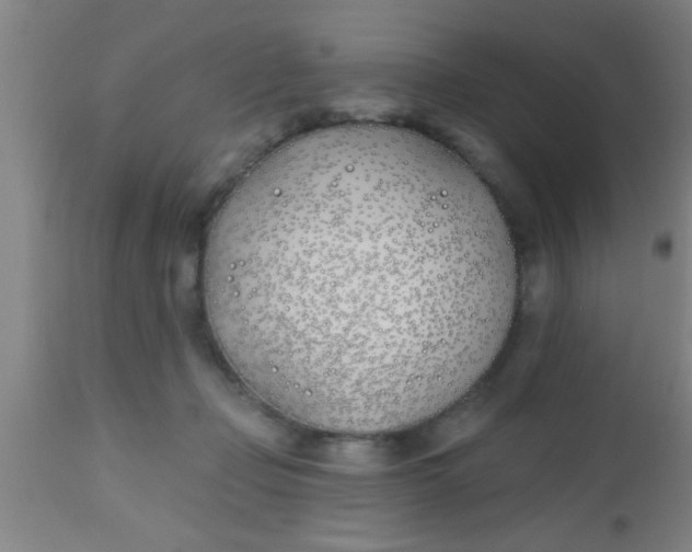 X0000112540365200909071427