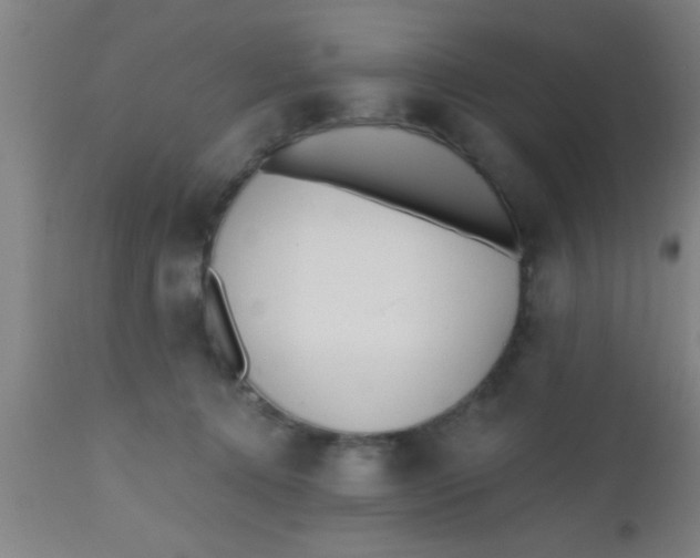 X0000112540368200909071427