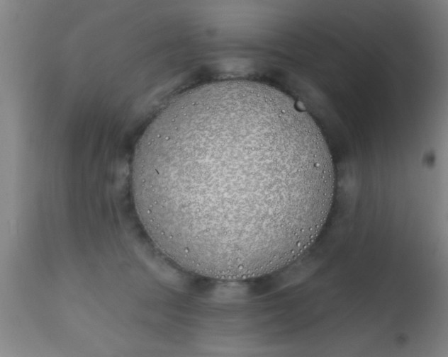X0000112540369200909071427