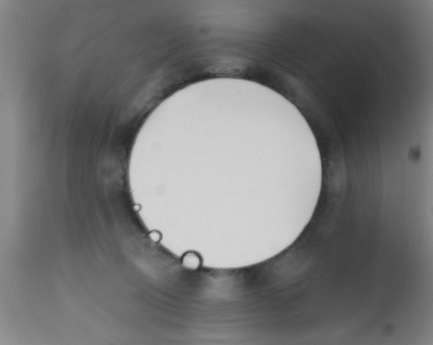 X0000112540370200909071427