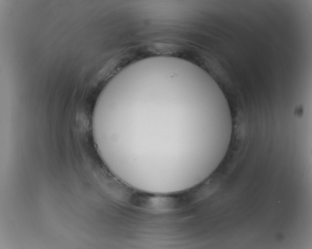 X0000112540371200909071427