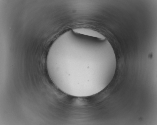 X0000112540372200909071427