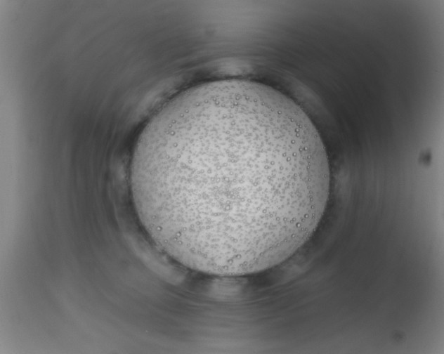 X0000112540373200909071427