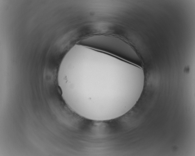 X0000112540376200909071427