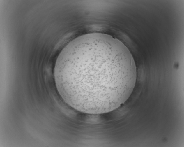 X0000112540377200909071427