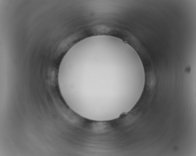 X0000112540378200909071427