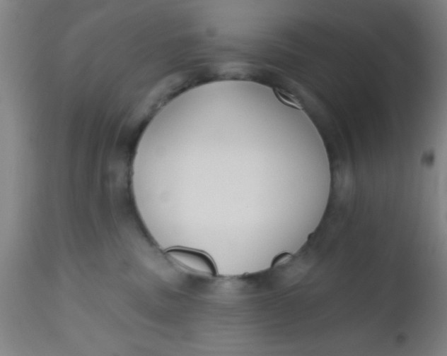 X0000112540379200909071427