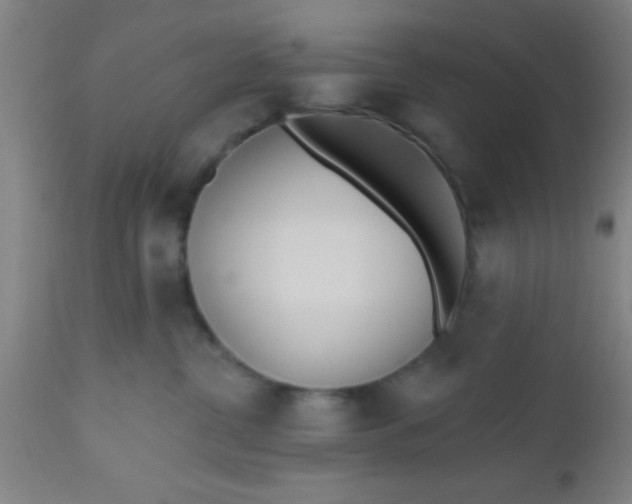 X0000112540380200909071427