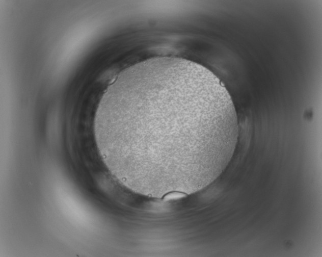 X0000112540381200909071427