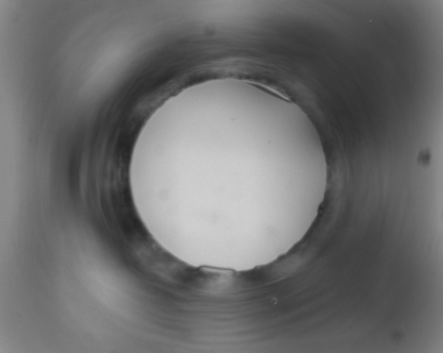 X0000112540382200909071427