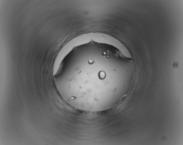 X0000112540384200909071427
