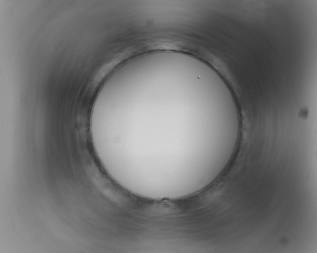 X0000112540386200909071426
