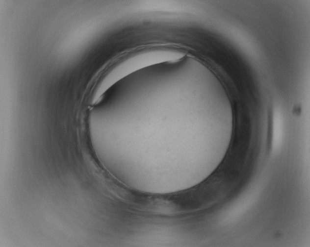 X0000112540387200909071426