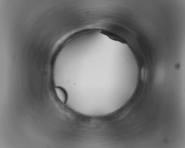X0000112540388200909071426