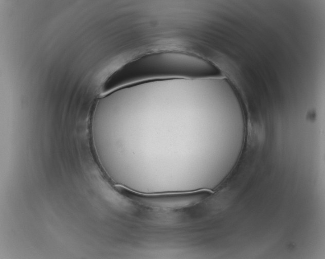X0000112540389200909071426