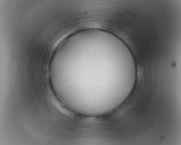 X0000112540390200909071426