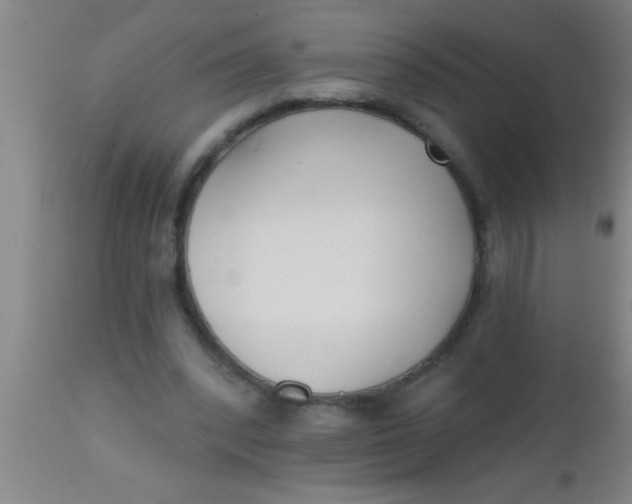 X0000112540392200909071426