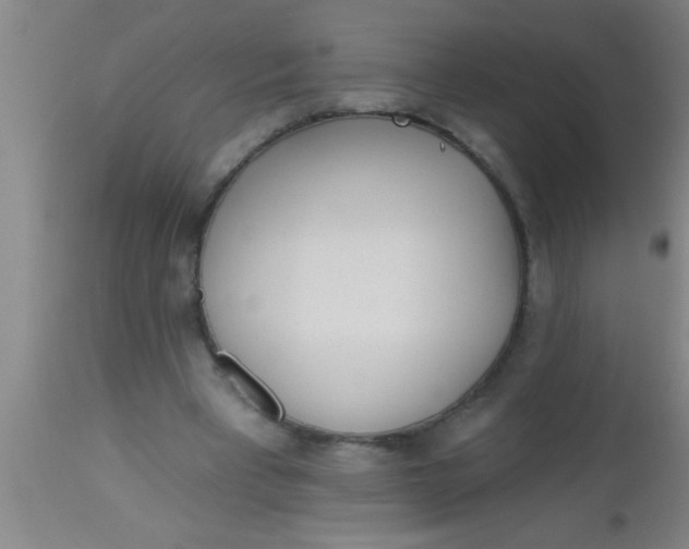 X0000112540393200909071426