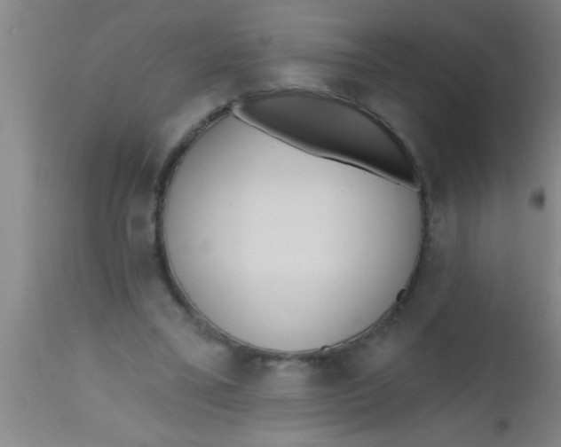 X0000112540395200909071426