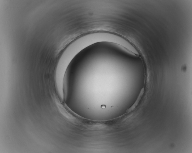 X0000112540397200909071426