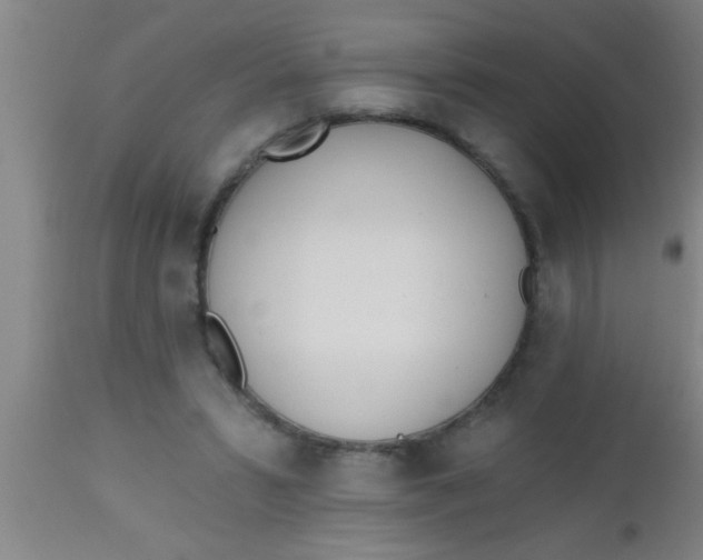 X0000112540399200909071426