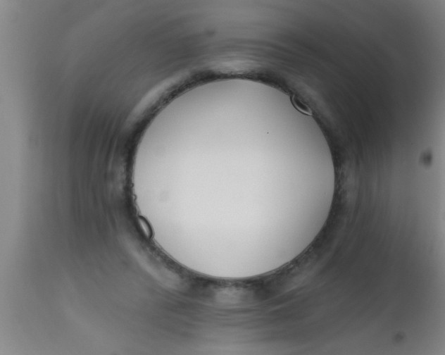 X0000112540400200909071426
