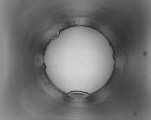 X0000112540401200909071426
