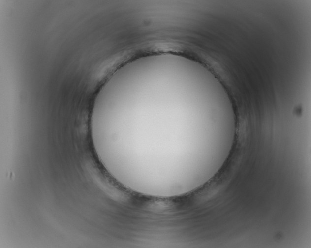 X0000112540402200909071426