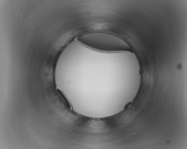 X0000112540403200909071426
