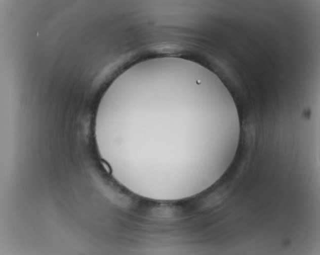 X0000112540404200909071426