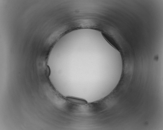 X0000112540405200909071426