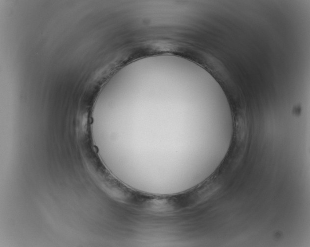 X0000112540406200909071426