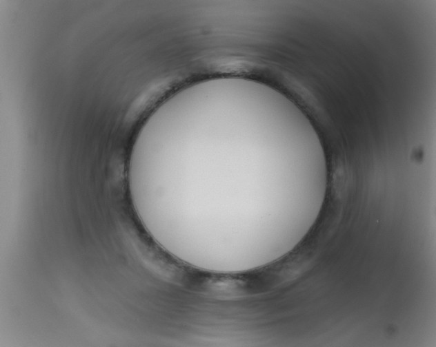 X0000112540407200909071426