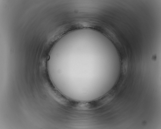 X0000112540410200909071426