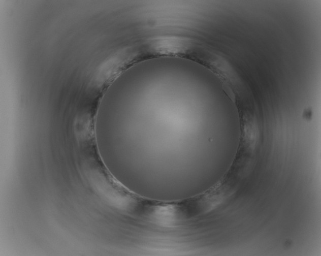 X0000112540411200909071426