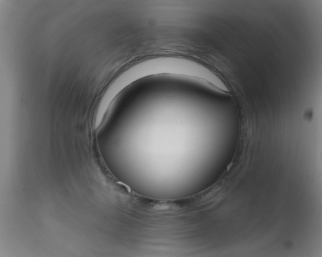 X0000112540415200909071426