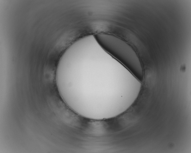 X0000112540417200909071426