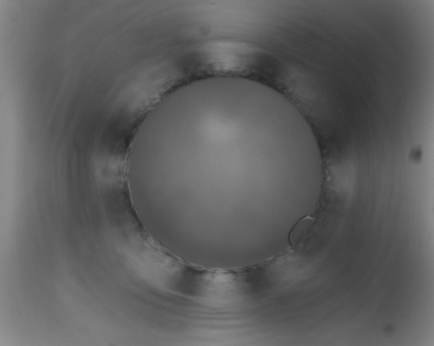 X0000112540419200909071426