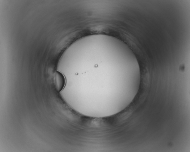 X0000112540420200909071426