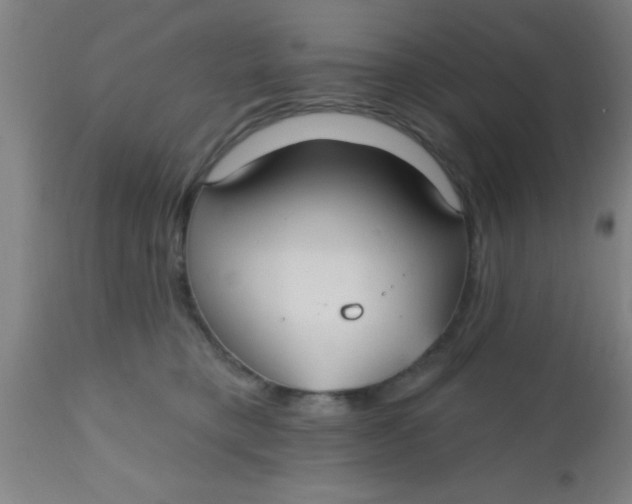 X0000112540421200909071426