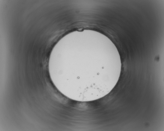 X0000112540423200909071426
