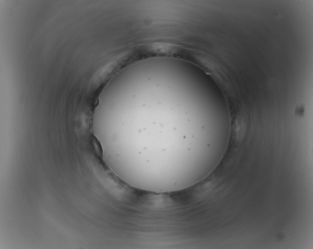 X0000112540424200909071426