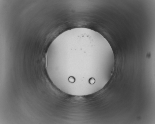 X0000112540427200909071426