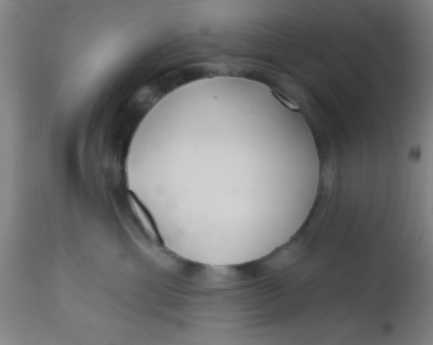 X0000112540429200909071426