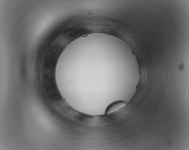 X0000112540430200909071426