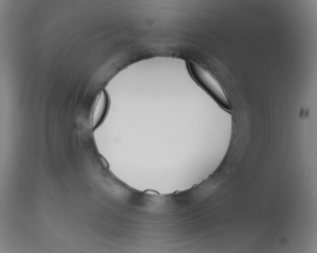 X0000112540432200909071426